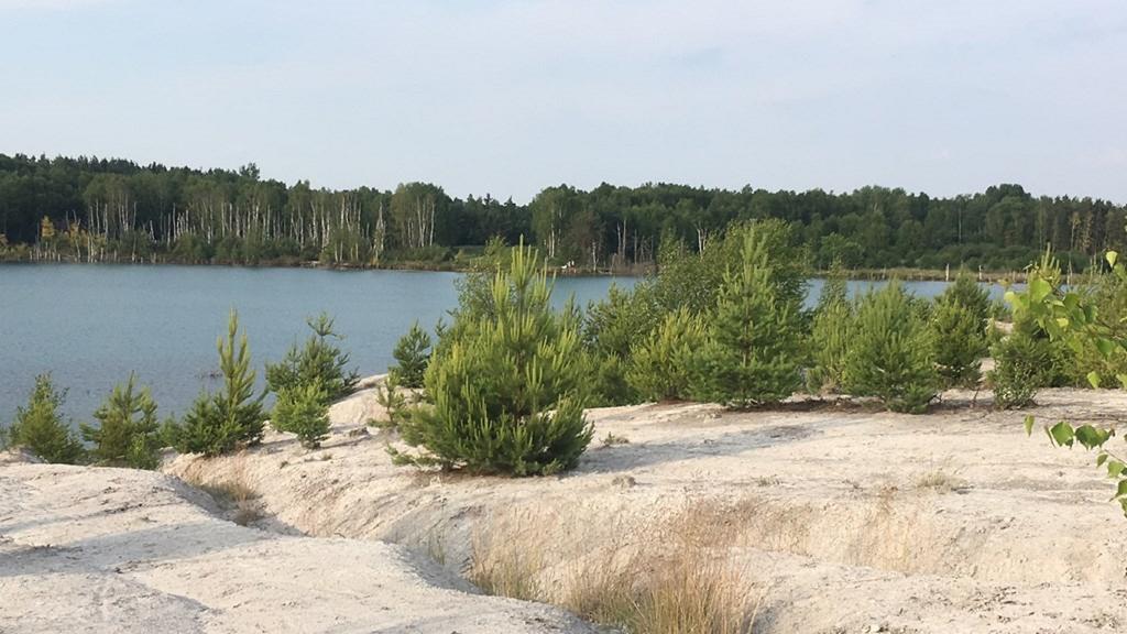 Ferienwohnung Am Schiederdamm Schwandorf in Bayern Quarto foto